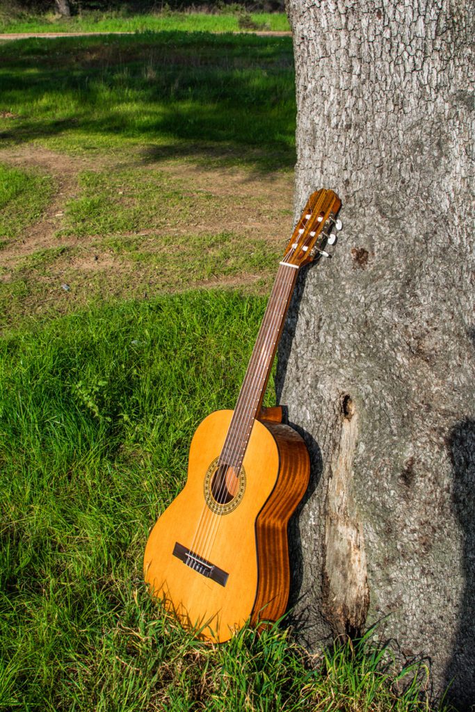 pawn shops for musical instruments guitars